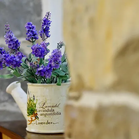 马托斯卡之家公寓 公寓 斯普利特